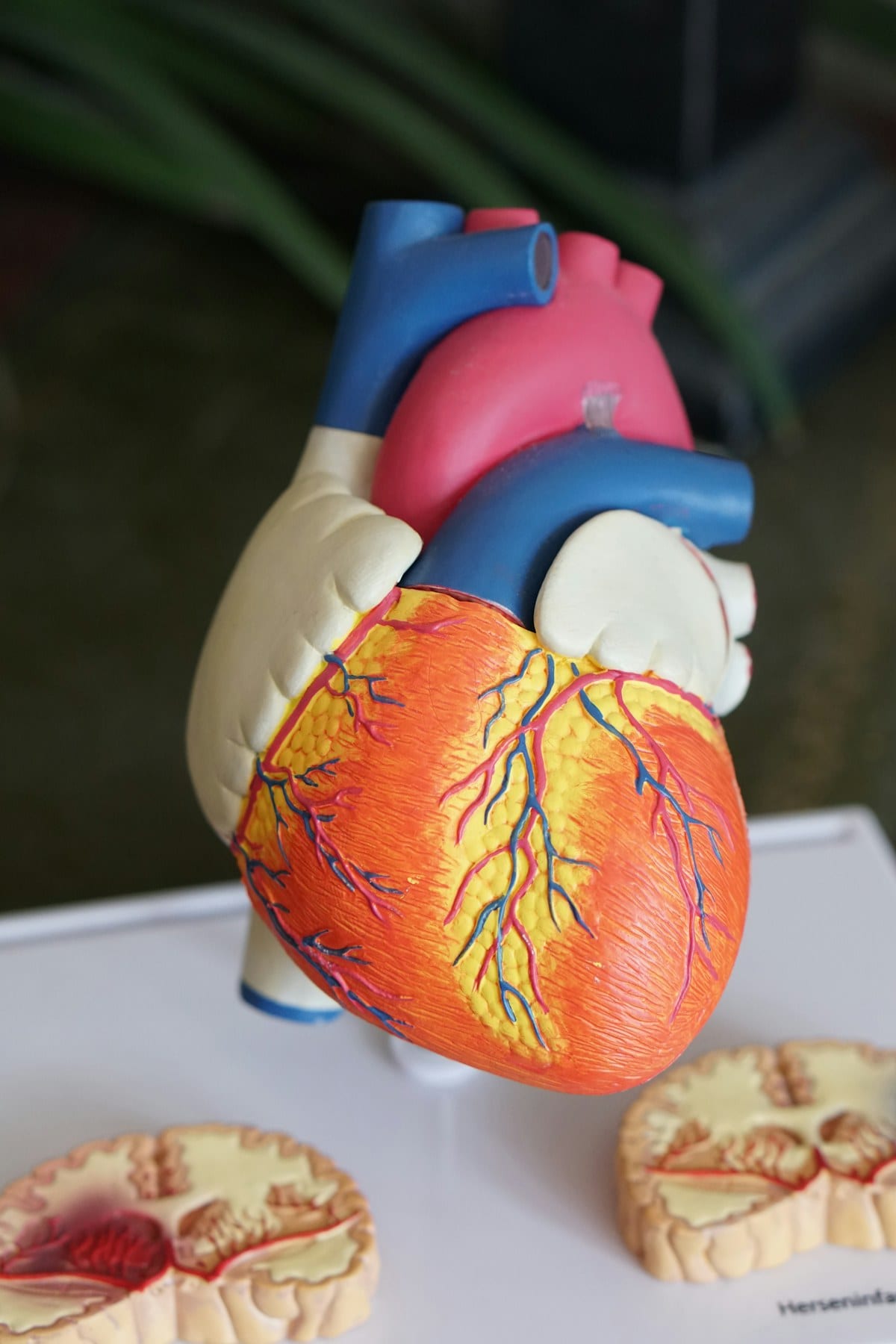 Emergency cardiac care for Arlington TX residents at ER Of Fort Worth