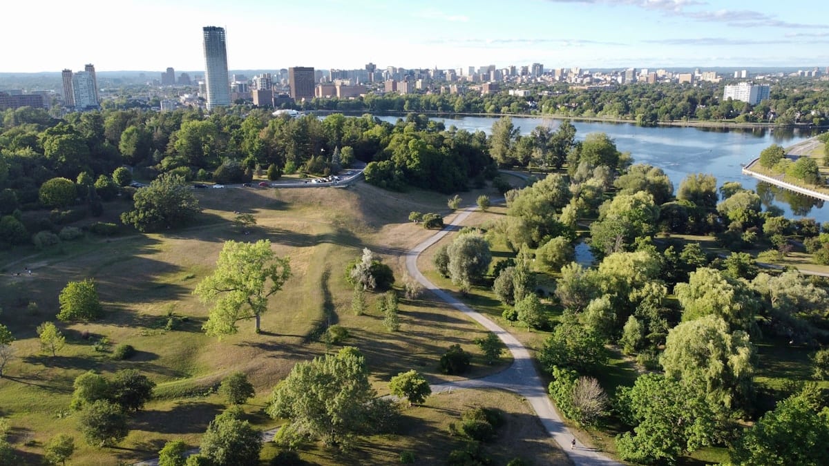 Aerial view of a creekside park trail in Coppell, TX