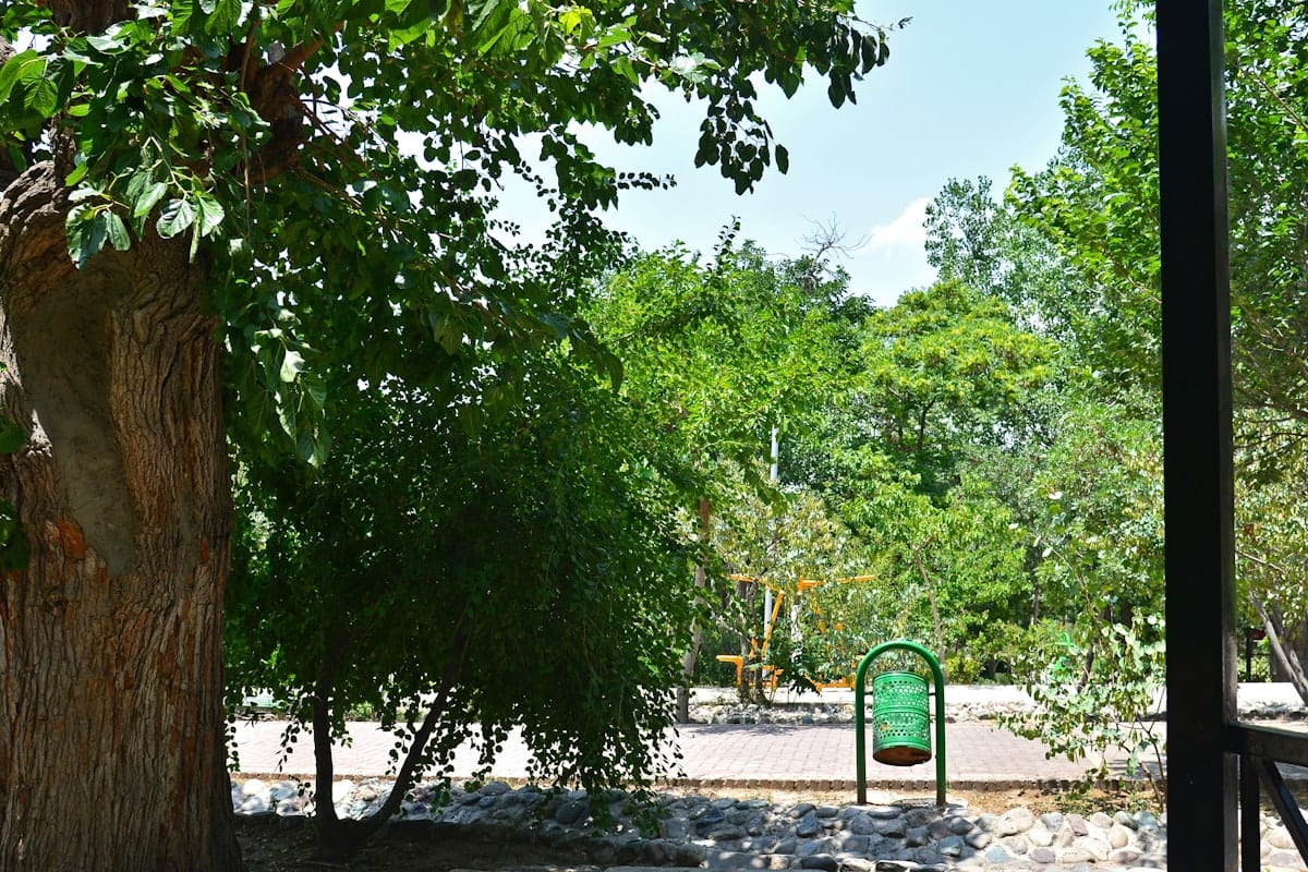 Lush green park trail near Bedford Boys Ranch Park in Bedford, TX